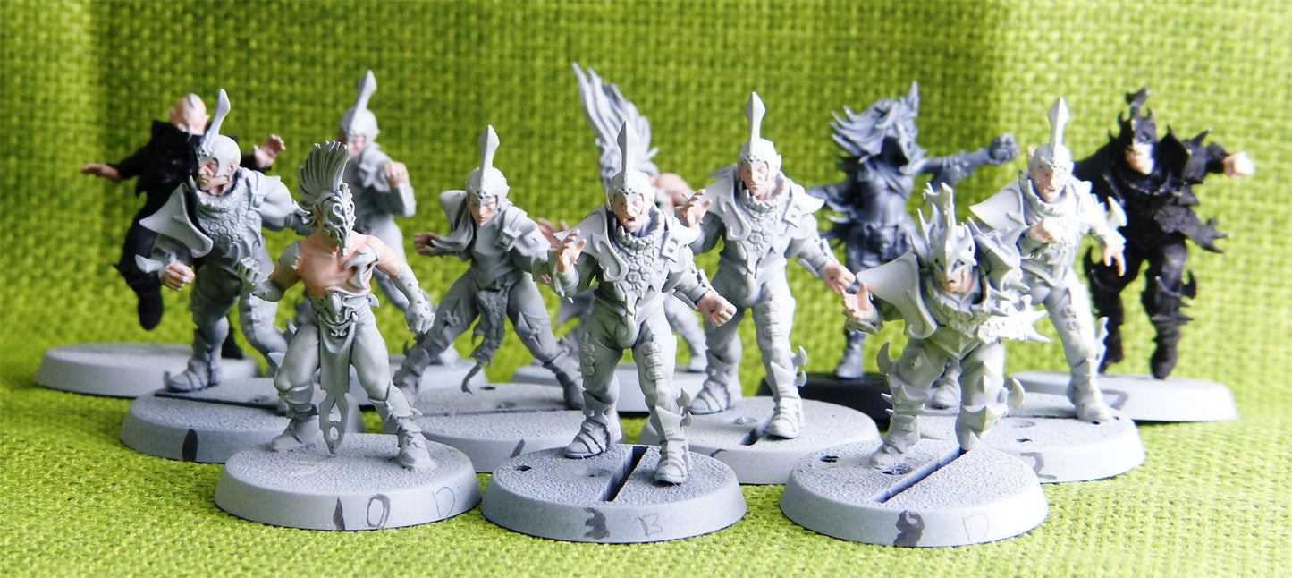 Blood Bowl - Dark Elf Team Naggaroth Nightmares - Warhammer AoS 40k #4Q