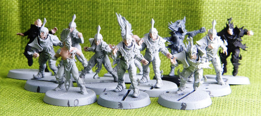Blood Bowl - Dark Elf Team Naggaroth Nightmares - Warhammer AoS 40k #4Q