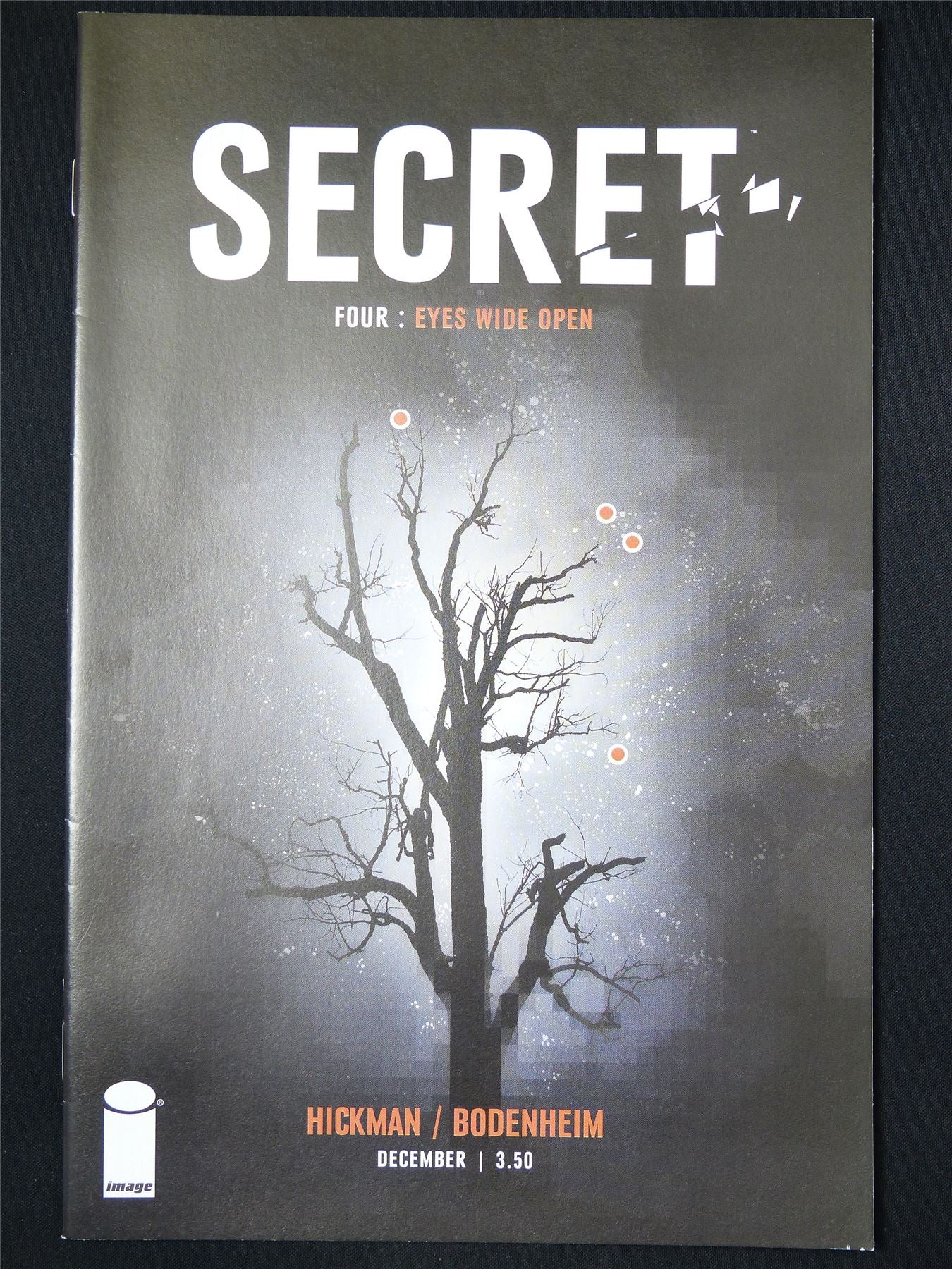 SECRET #4 - Image Comic #19G