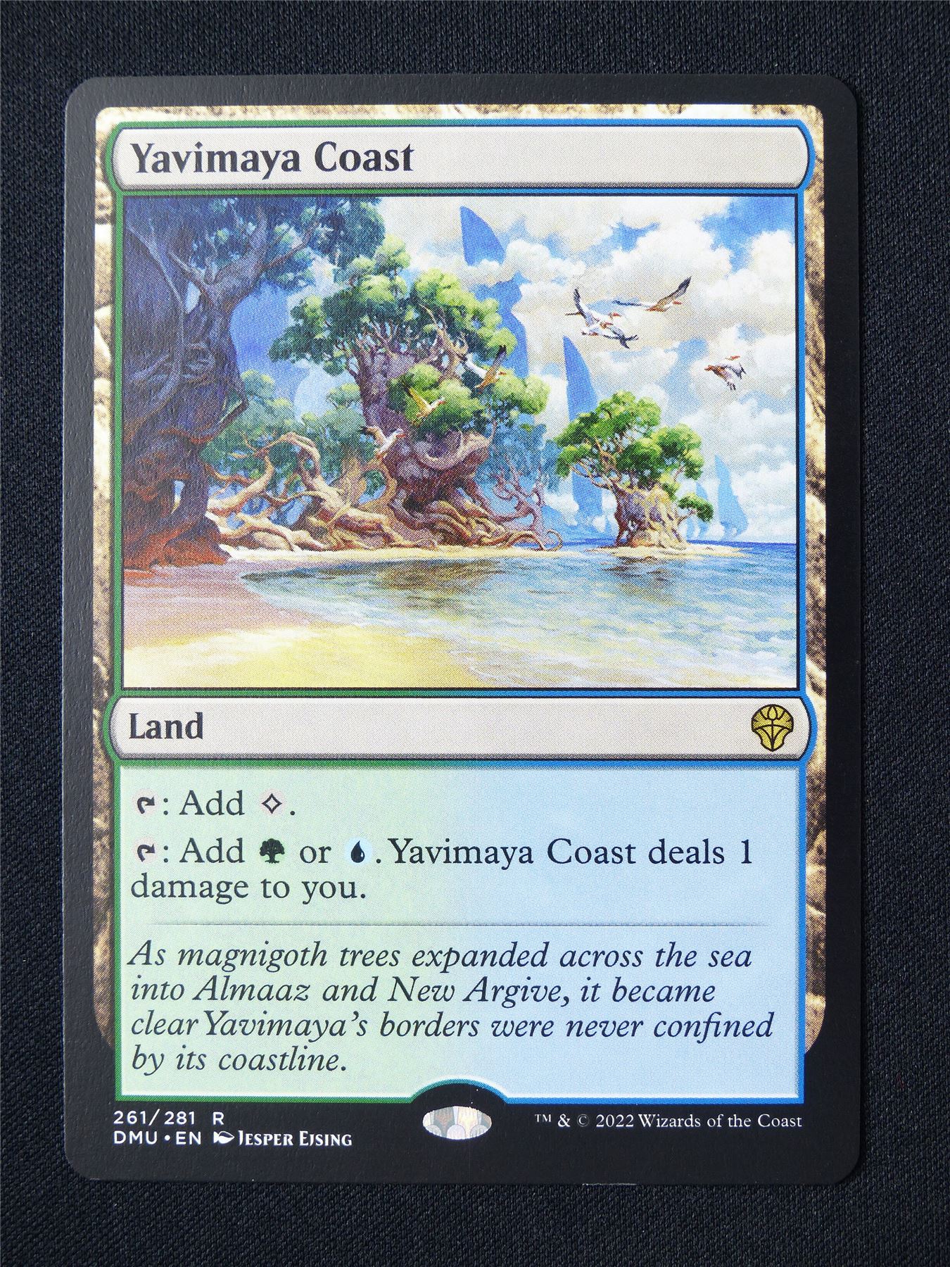 Yavimaya Coast - DMU - Mtg Card #2PN