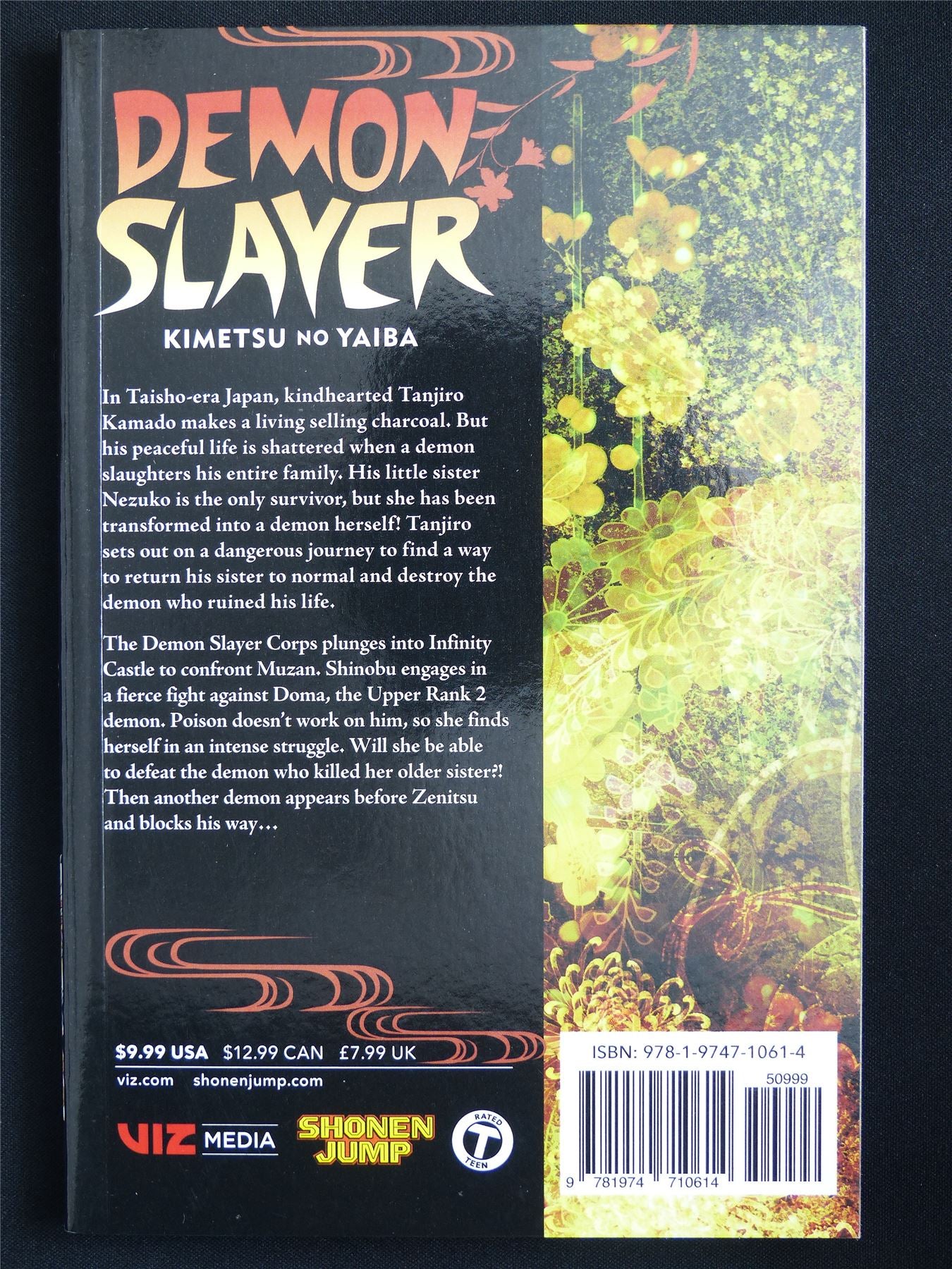 Demon Slayer: Kimetsu no Yaiba volume 17 - Viz Manga #54I