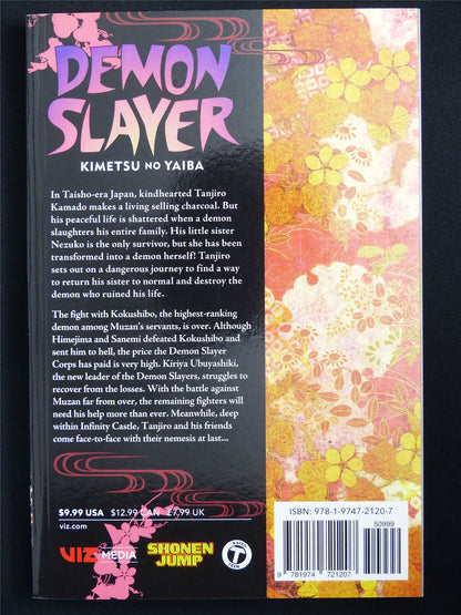 Demon Slayer: Kimetsu no Yaiba volume 21 - Viz Manga #54M