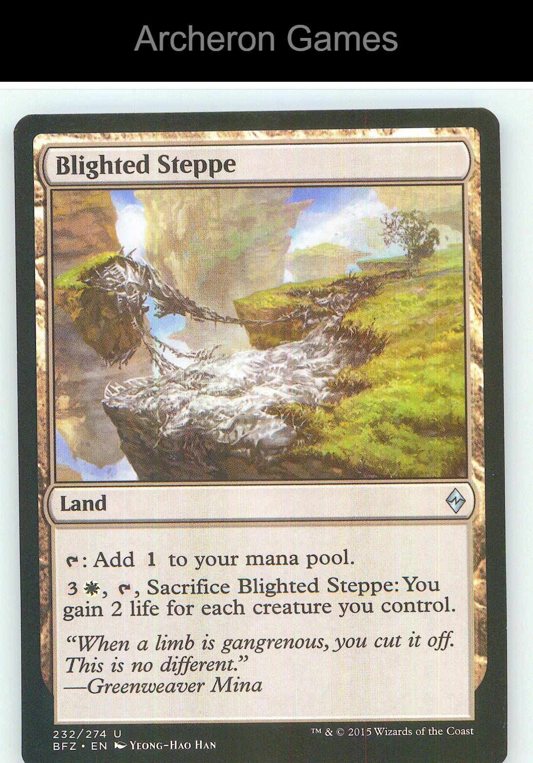 Blighted Steppe BFZ 232 UC MTG Card NM/EX+