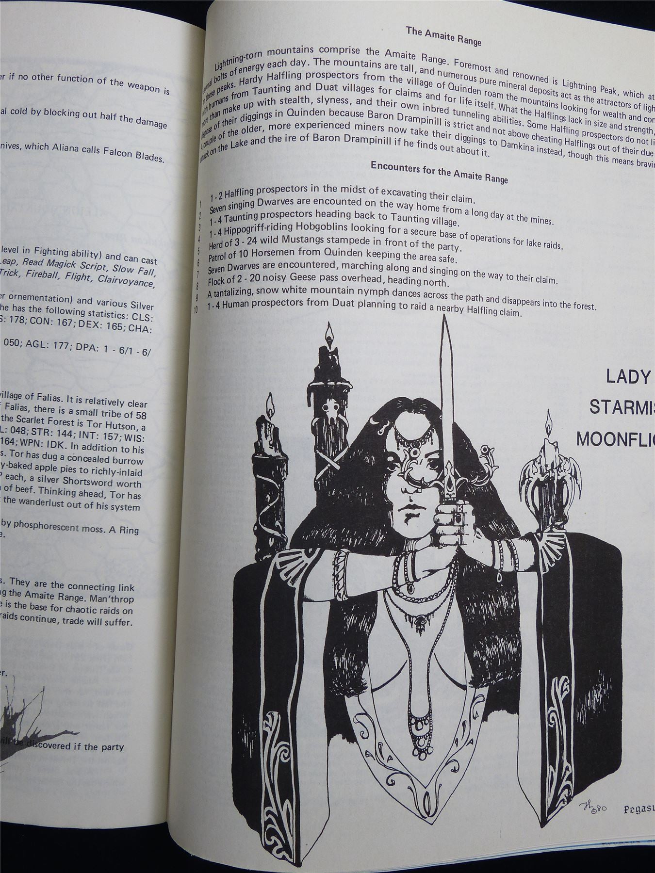 Pegasus: Murder at the Ruptured Troll -  Judges Guild Publications Booklet #2SU