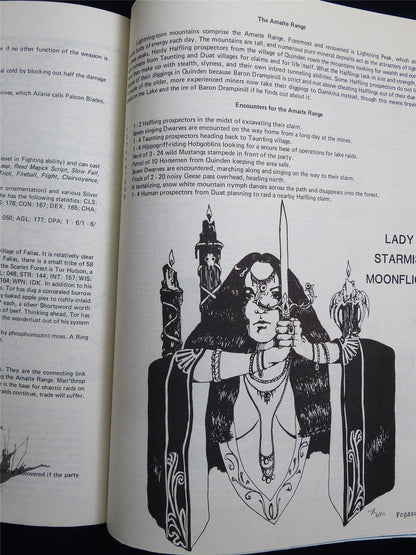 Pegasus: Murder at the Ruptured Troll -  Judges Guild Publications Booklet #2SU