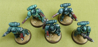 Intercessor Squad set of 5 painted - Dark Angels - Warhammer 40K #3JJ