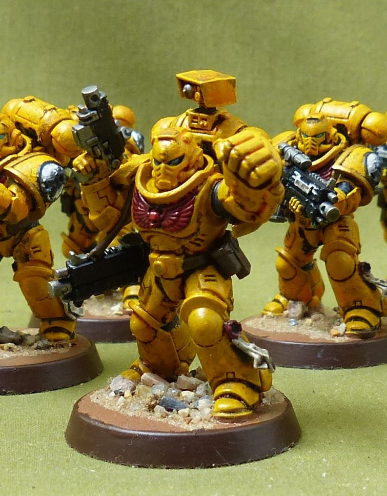 Interceossors painted - Imperial Fist - Warhammer 40K #40R