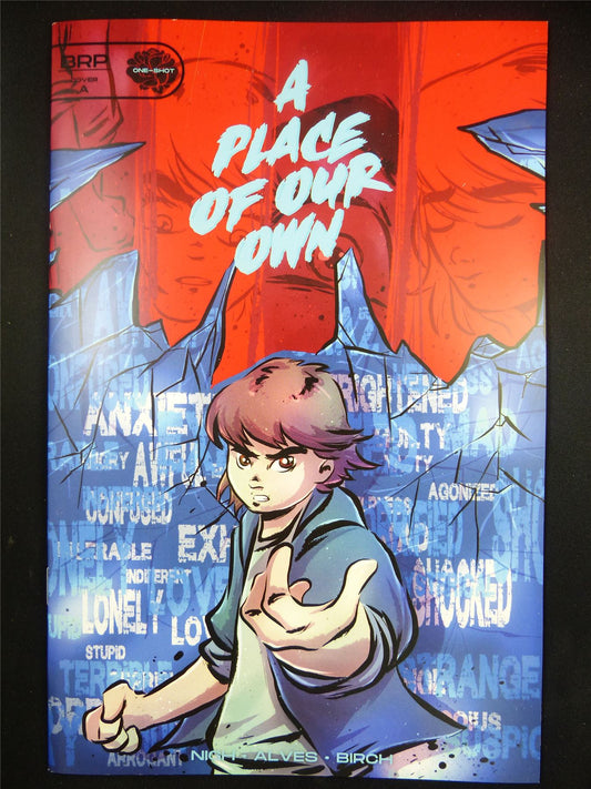 A PLACE of Our Own One-Shot - Nov 2023 BRP Comic #WV