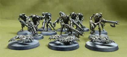 Warriors with Scarab Swarms - Necrons - Warhammer 40K #1GY