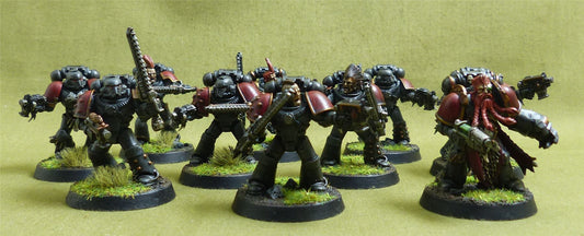 MKII Tactical Squad set of 10 painted - Space Wolves - Warhammer Horus Heresy #4XI