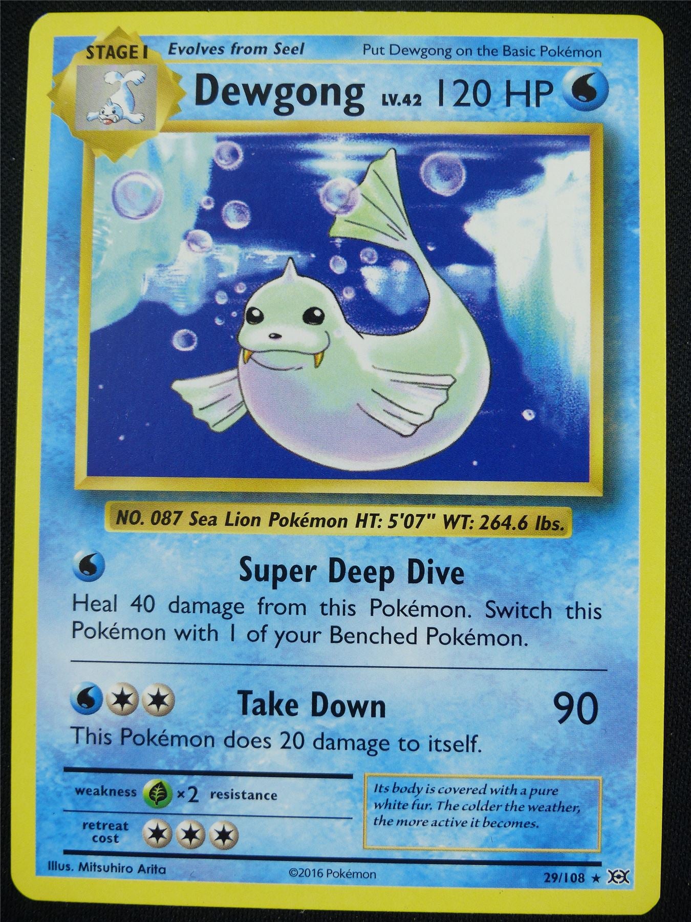 Dewgong 29/108 Evolutions - Pokemon Card #4F8