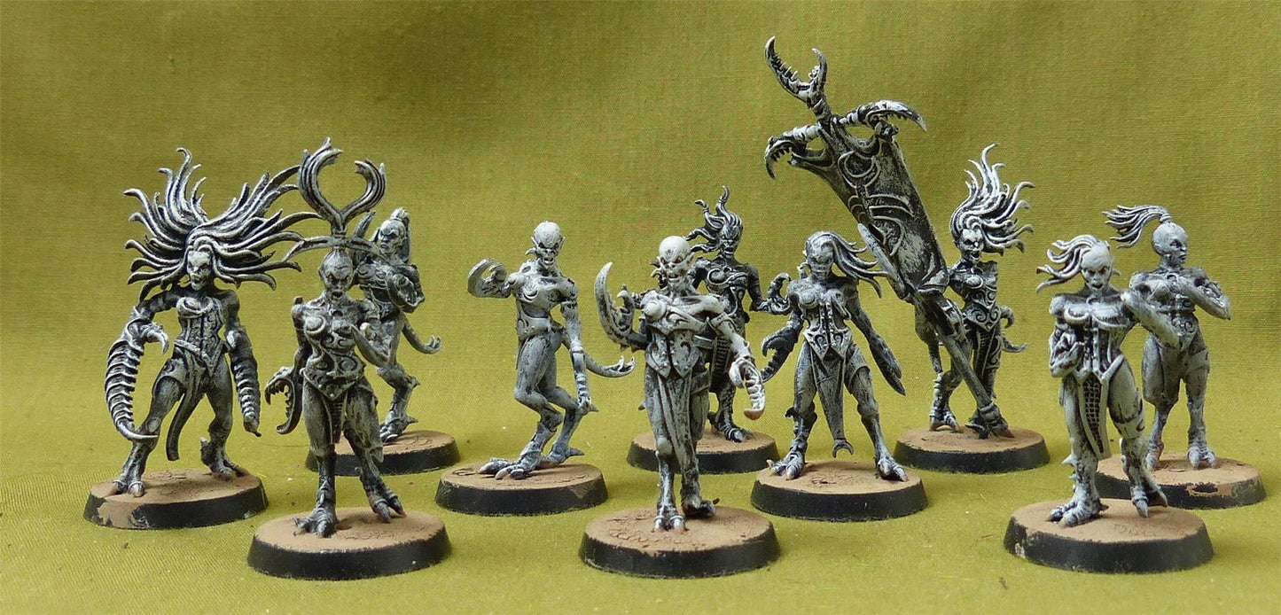 Khinerai Heartrenders - Daughters of Khaine - Warhammer AoS #C1