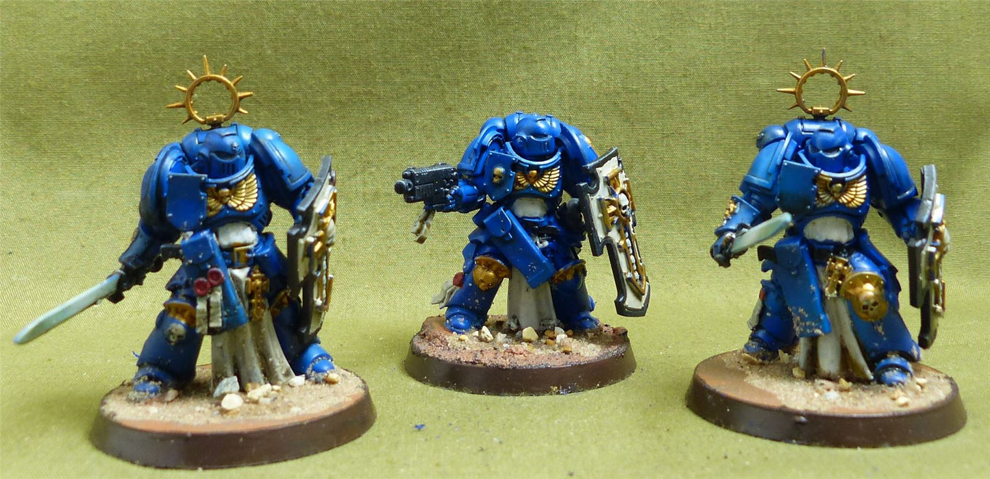 Bladeguard Veteran Squad painted - Space Marines - Warhammer 40K #6TS