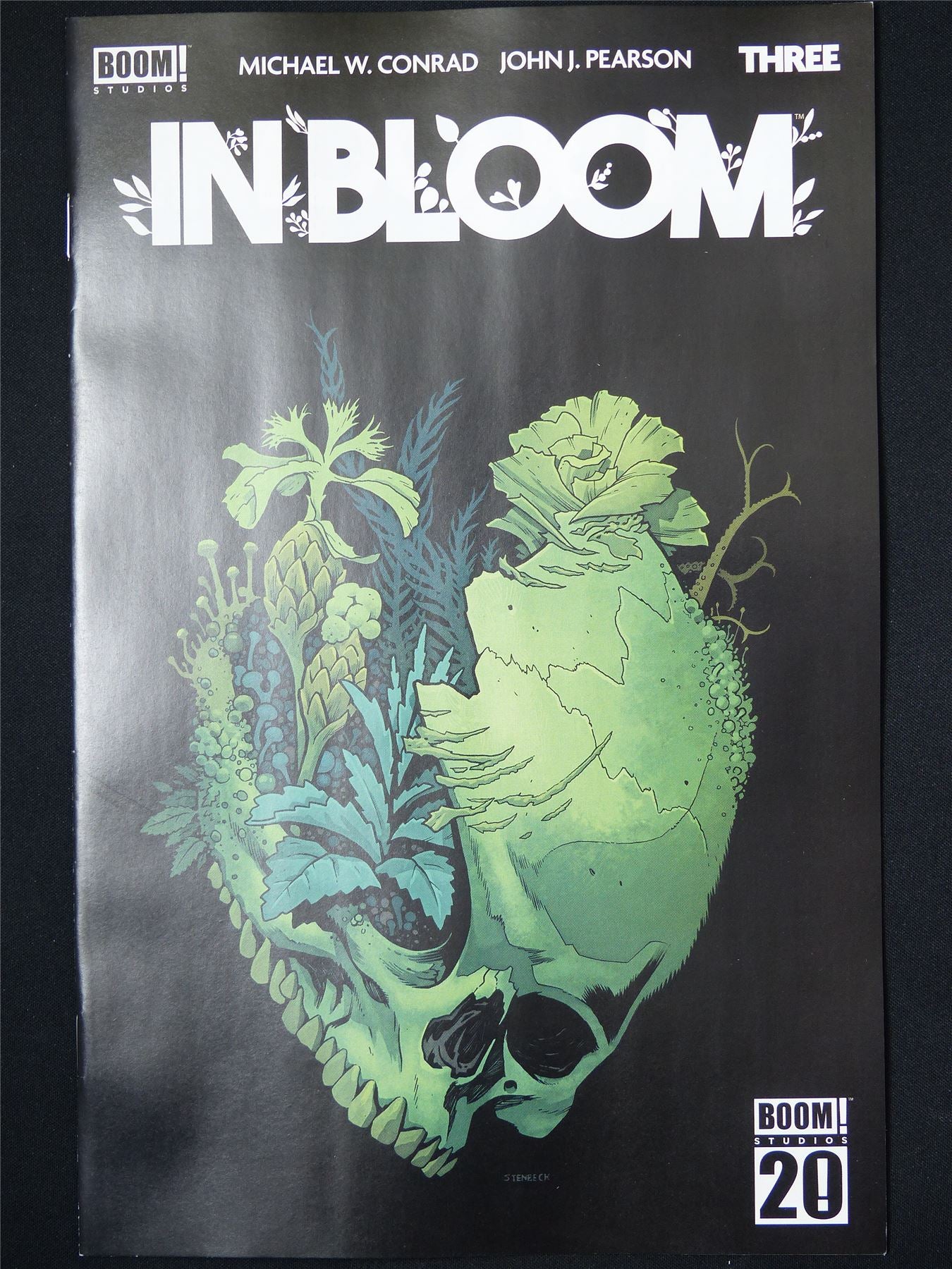 In BLOOM #3 Variant - B&B Feb 2025 Boom! Comic #9KL