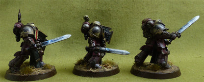 Bladeguard Veterans painted - Space Marines - Warhammer 40K #1BE