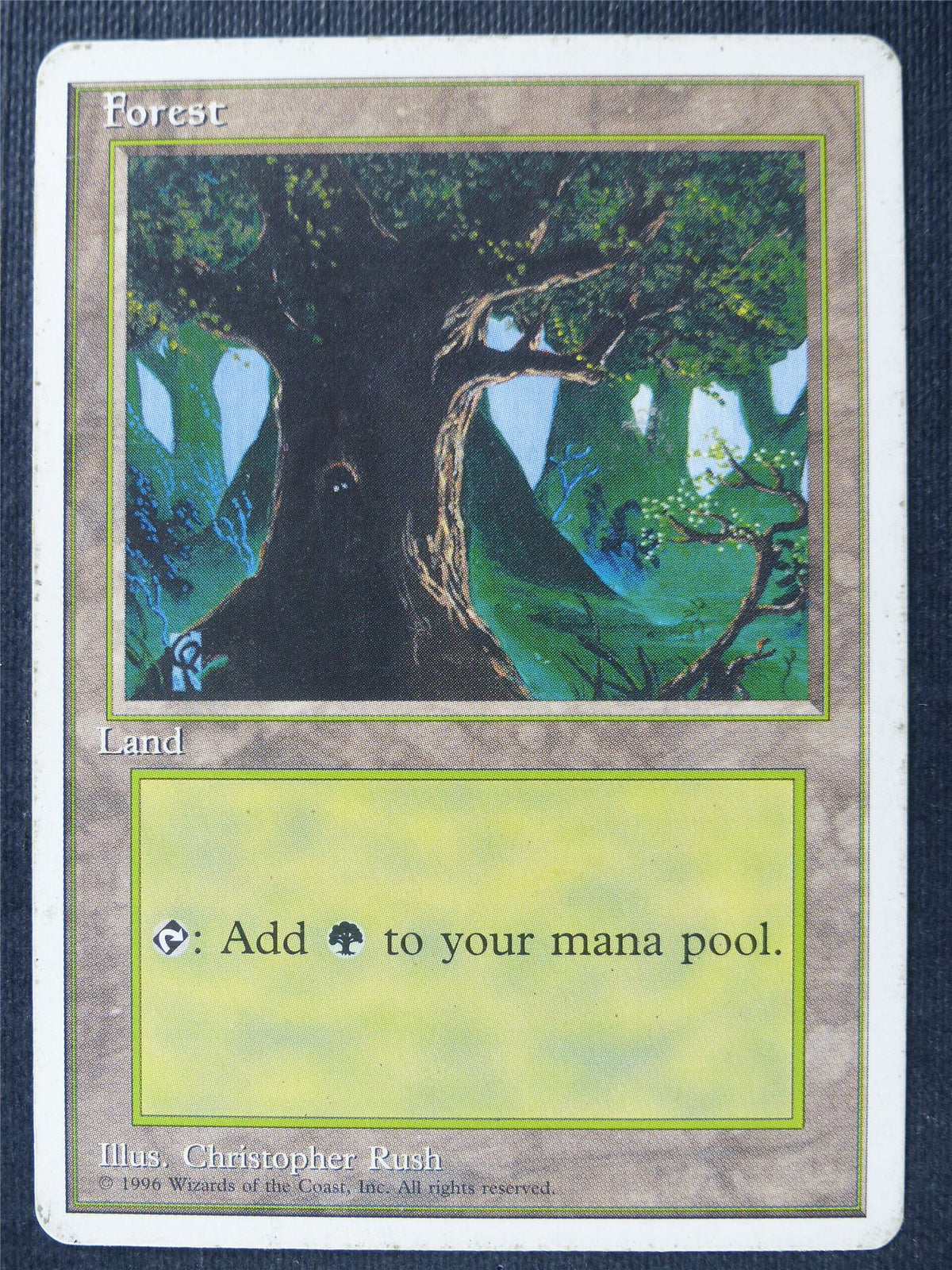 Forest - Fourth Ed - Mtg Card #1Y3