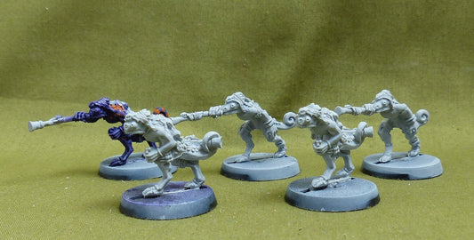 Chameleon Skins set of 5 - Seraphon - Warhammer AoS #1GG