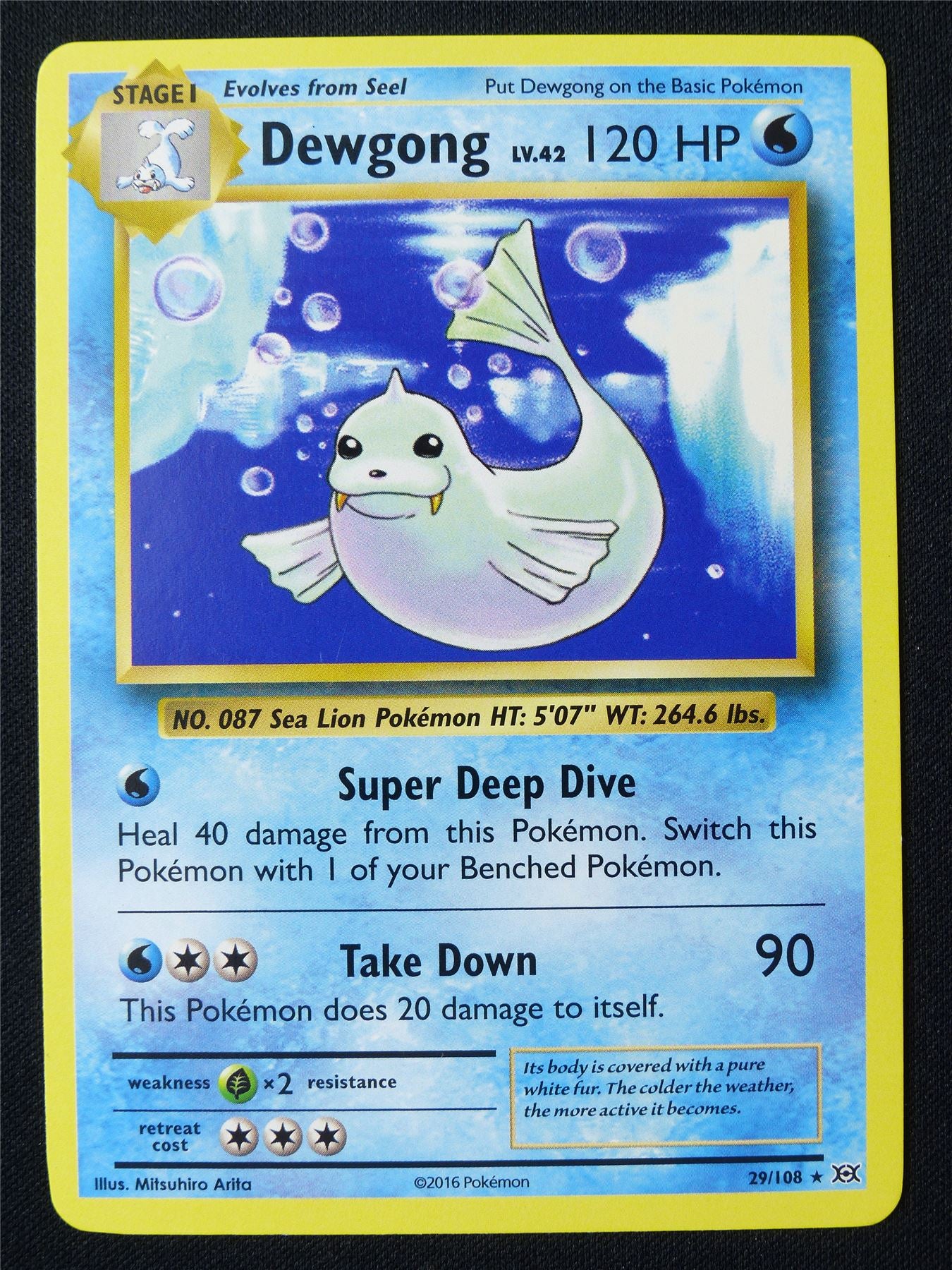 Dewgong 29/108 XY Evolutions - Pokemon Card #1EJ