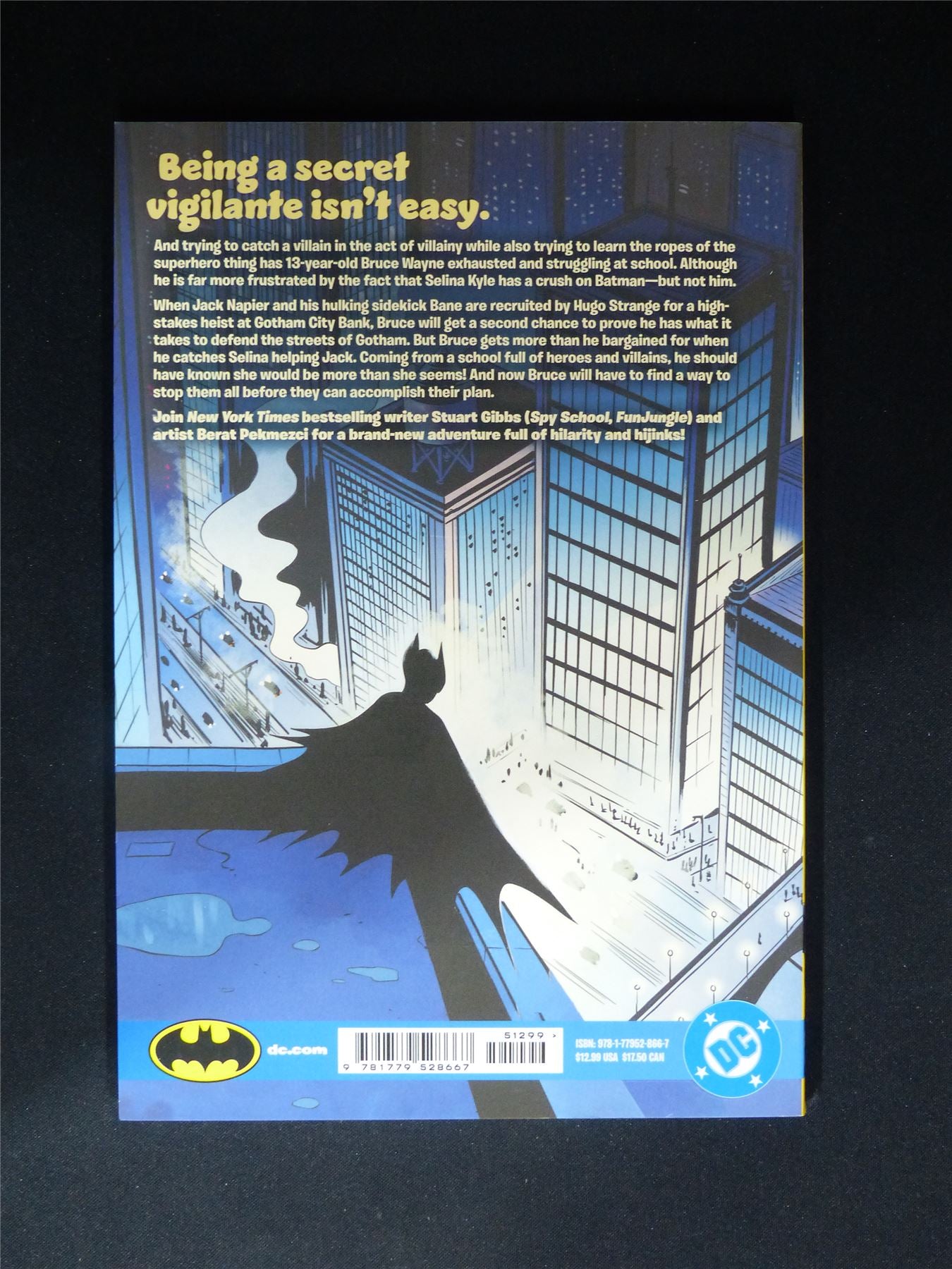 Bruce Wayne Not Super: The bat-catastrophe - DC Graphic Softback #307