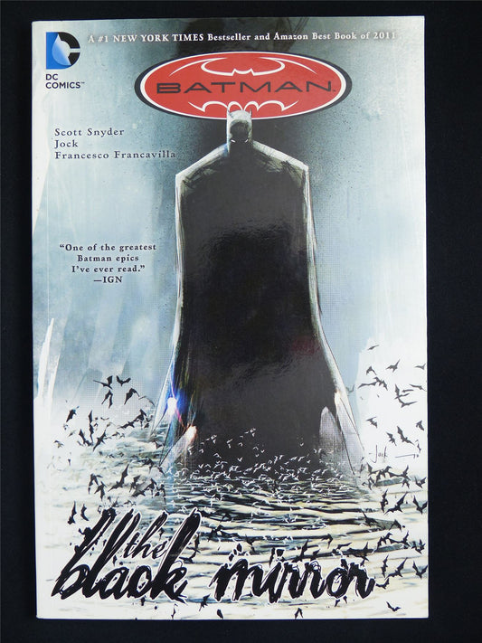 Batman: The Black Mirror - DC Graphics Softback #1PR