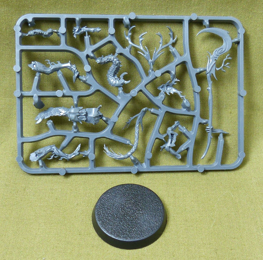 Sylvaneth Branchwych Sprue - Warhammer AoS #2K3