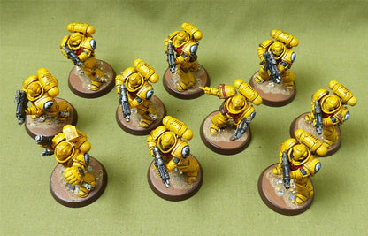 Interceossors painted - Imperial Fist - Warhammer 40K #40R