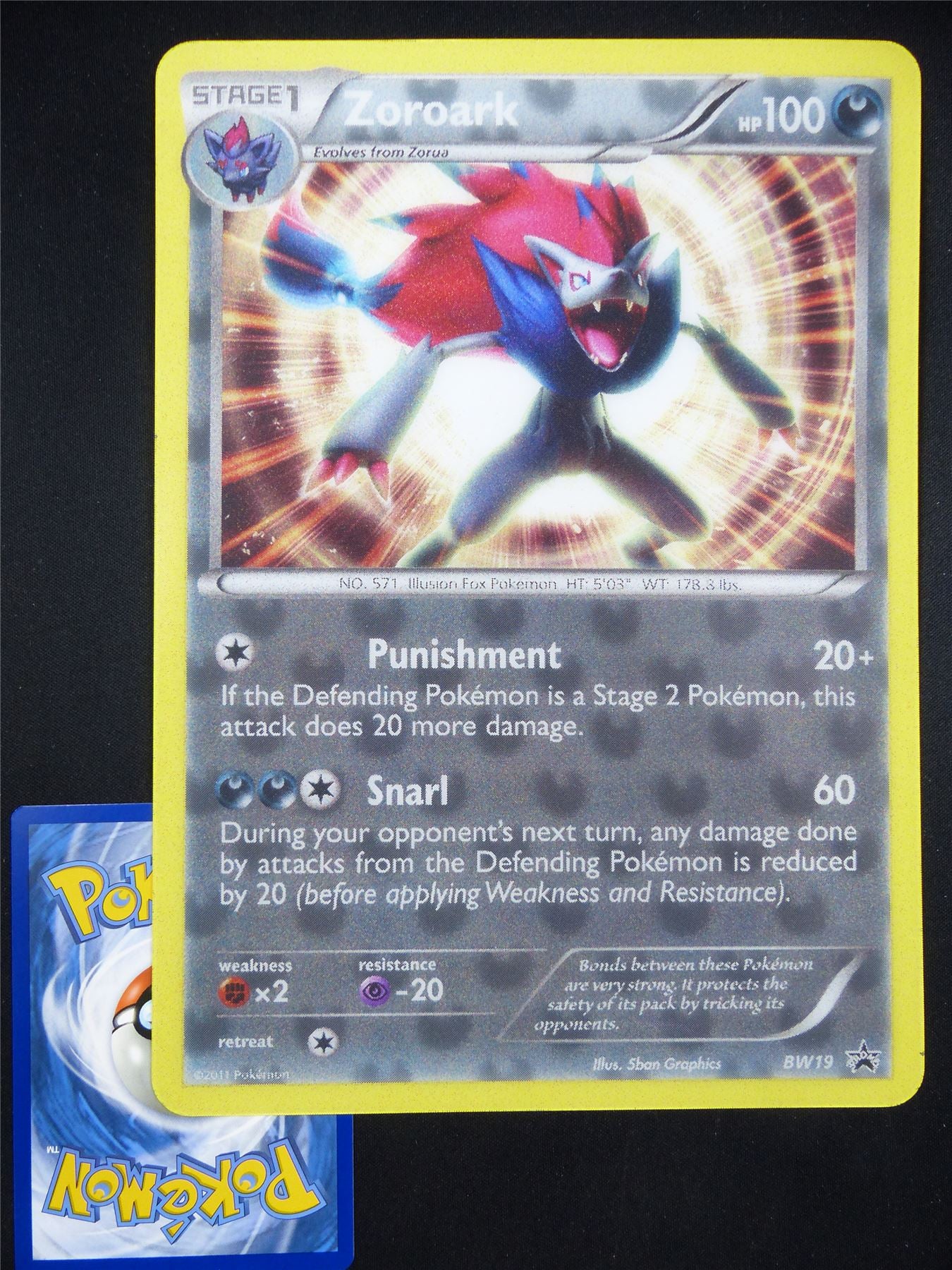 Zoroark BW19 Lenticular Holographic - Jumbo Pokemon Card #2KL