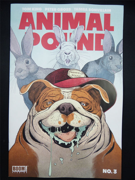 ANIMAL Pound #3 - Apr 2024 Boom! Comic #59E