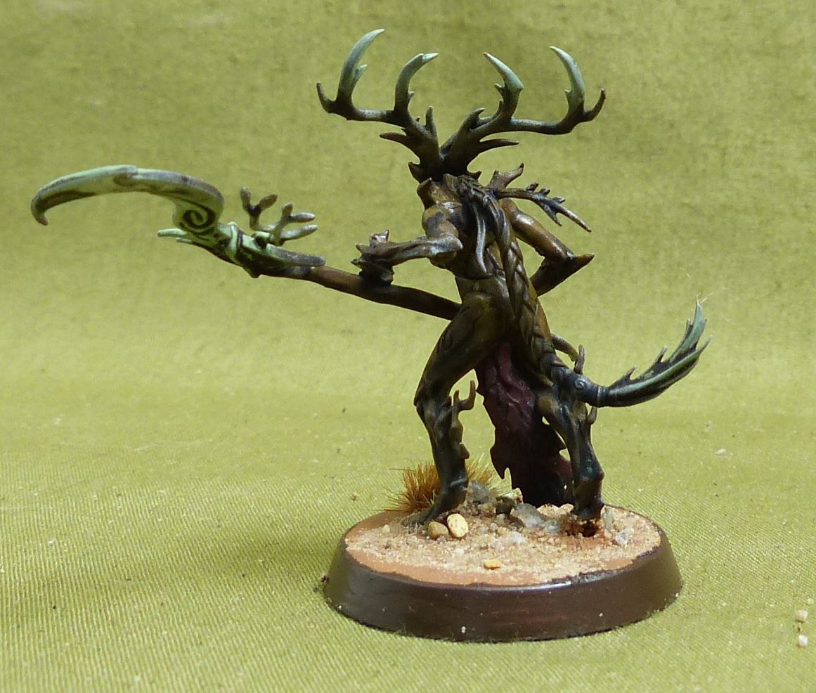 Branchwych painted - Sylvaneth - Warhammer AoS #5Z8