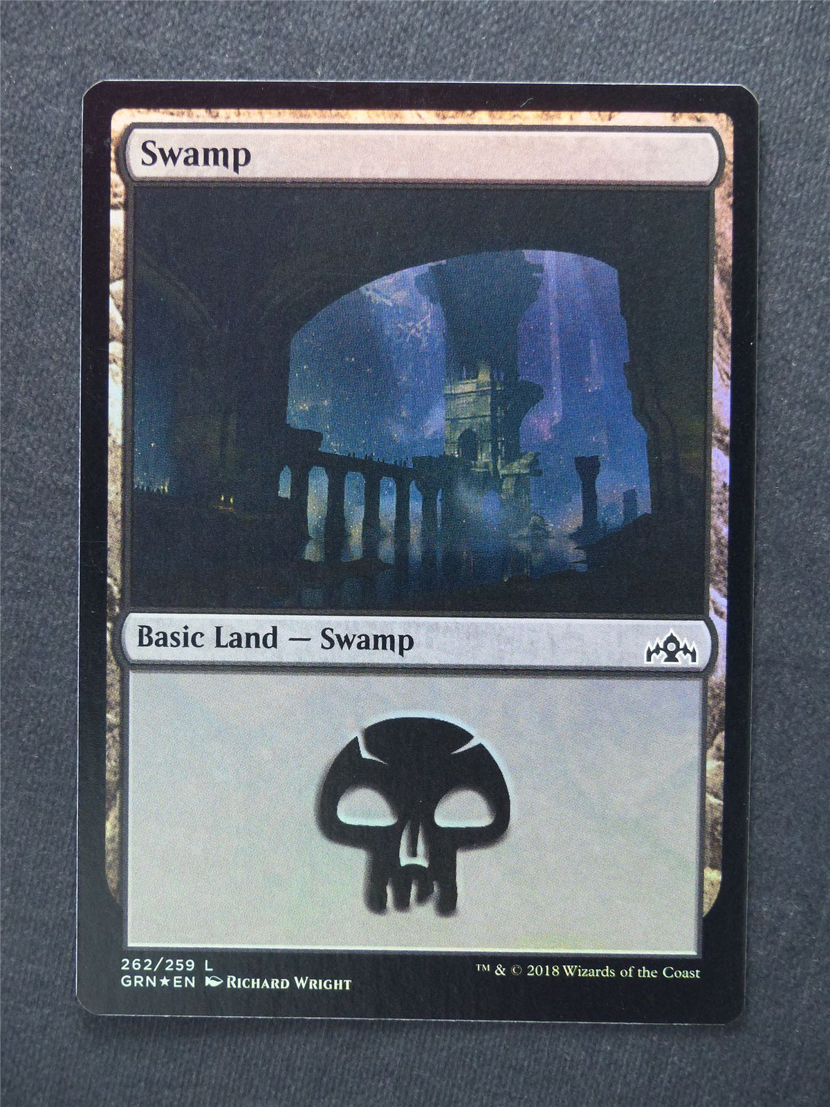 Swamp 262/259 Foil - Mtg Magic Cards #YK