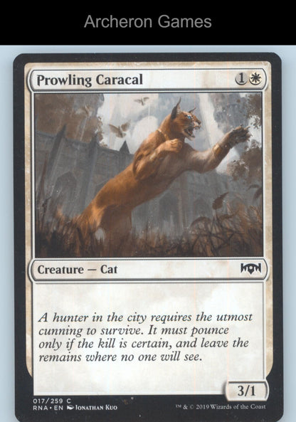 Prowling Caracal 17 C MTG Card Ravnica Allegiance