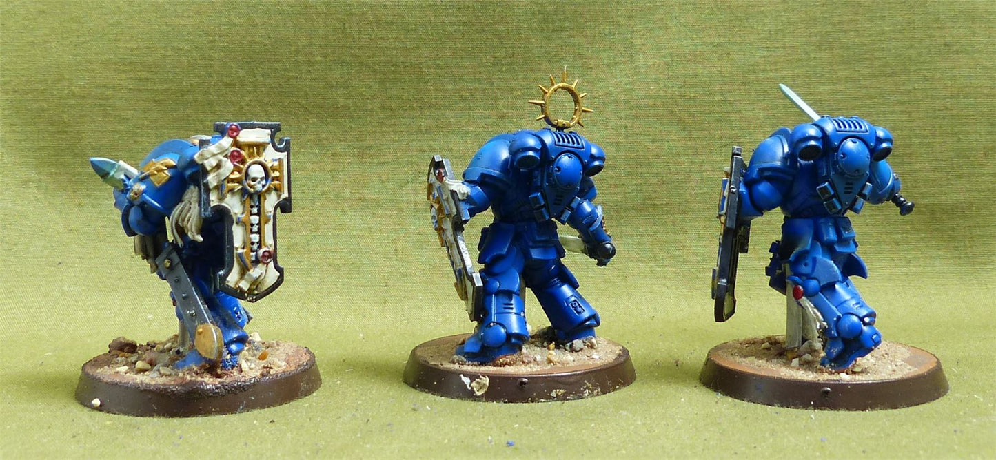 Bladeguard Veteran Squad painted - Space Marines - Warhammer 40K #6U0