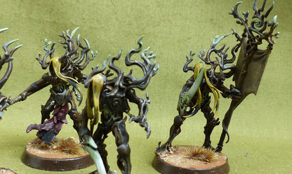 Tree-Revenants painted - Sylvaneth - Warhammer AoS #5ZB