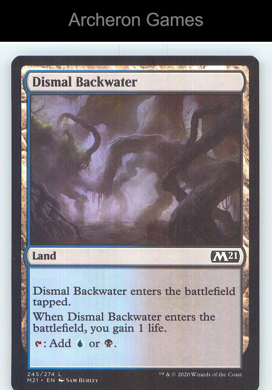 Dismal Backwater M21 245 Land MTG Card NM/EX+