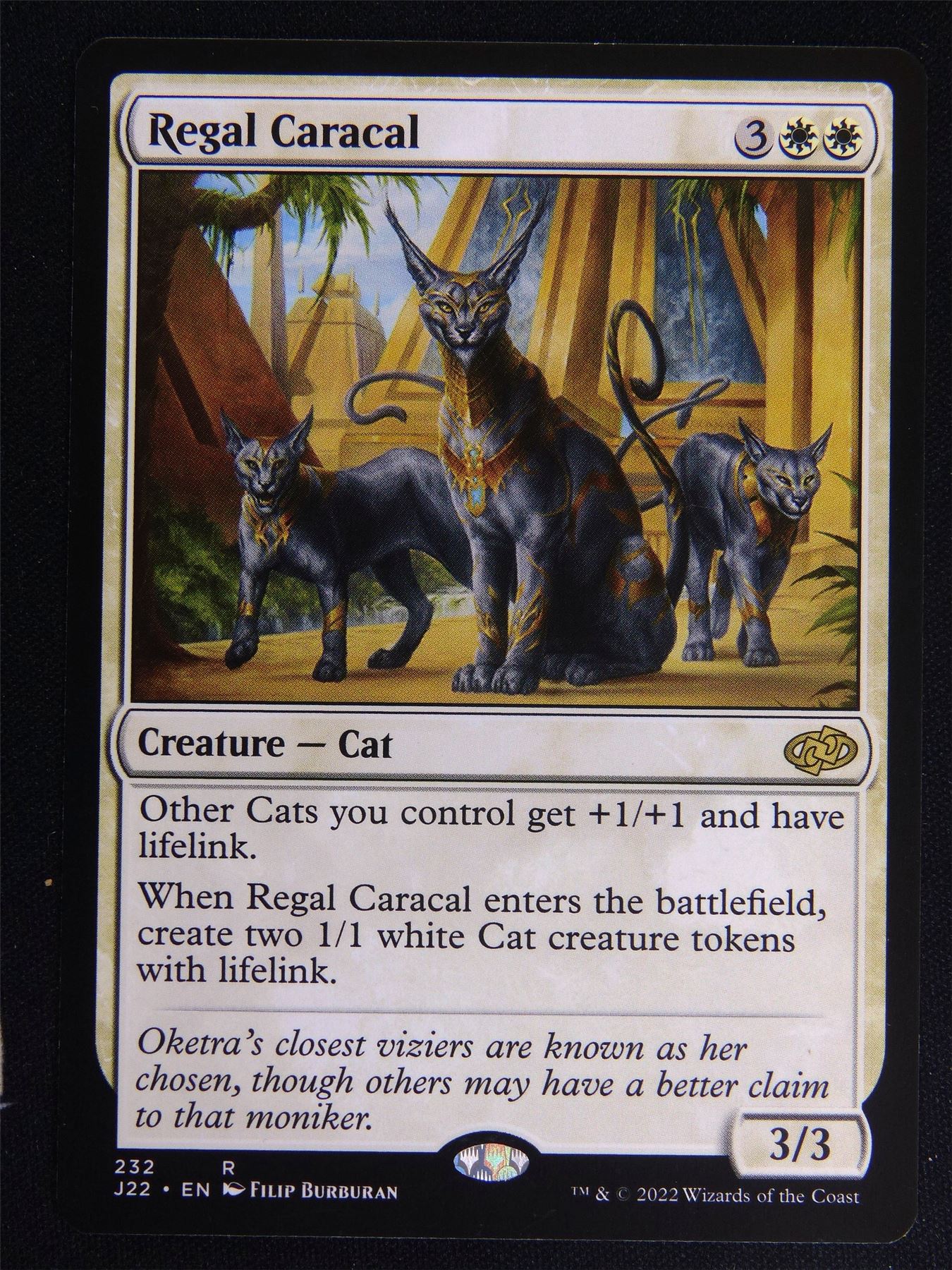 Reagal Caracal - Mtg Card #Q7