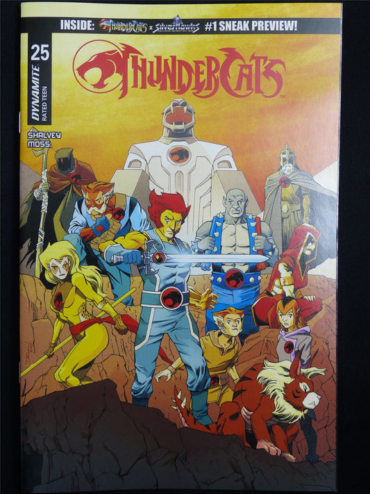 THUNDERCATS #25 Cvr B - Mar 2026 Dynamite Comic #41C