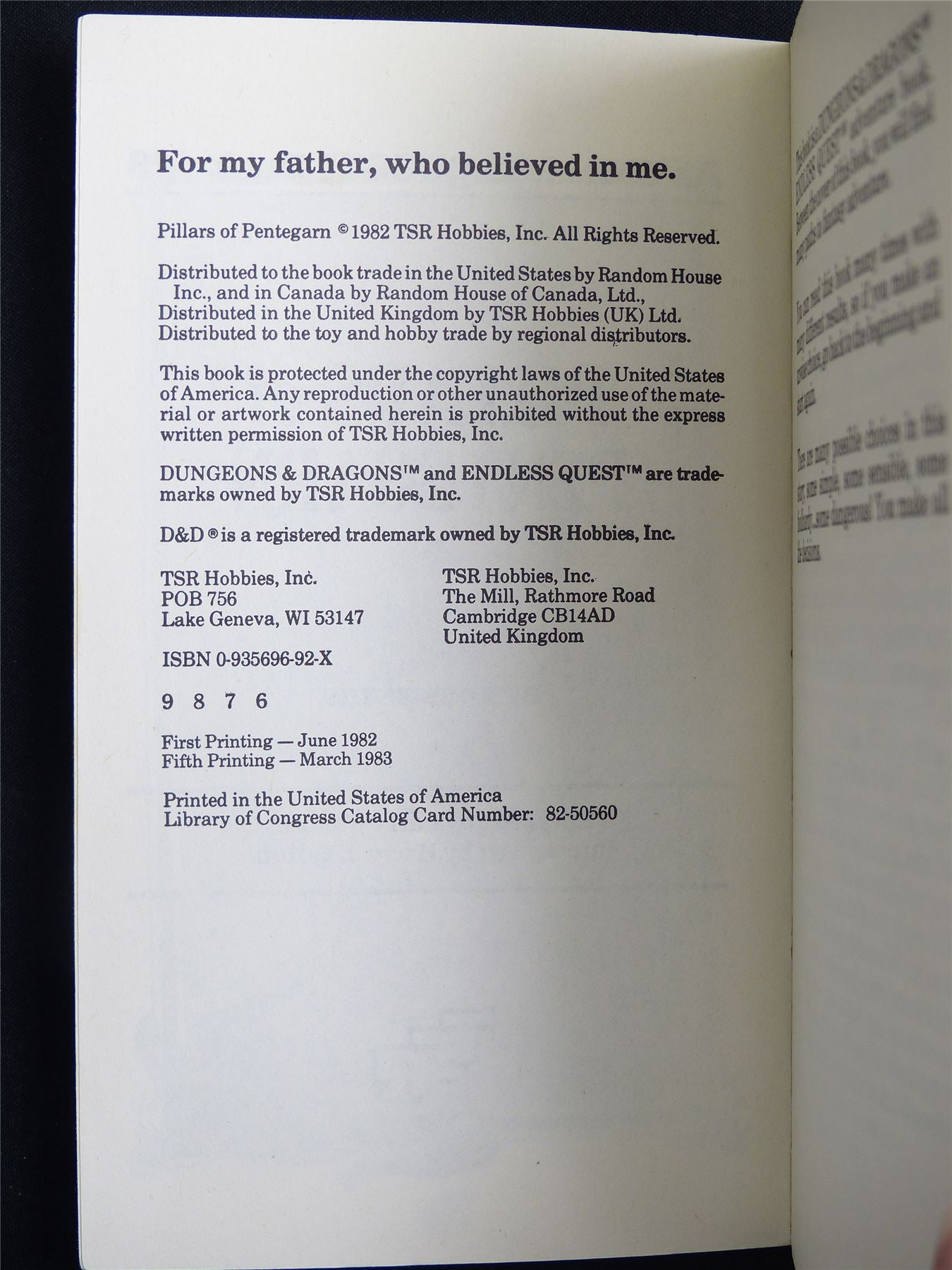 D&D Adventure Book: Pillars of Pentegarn Endless Quest - Vintage Novel Softback #LR