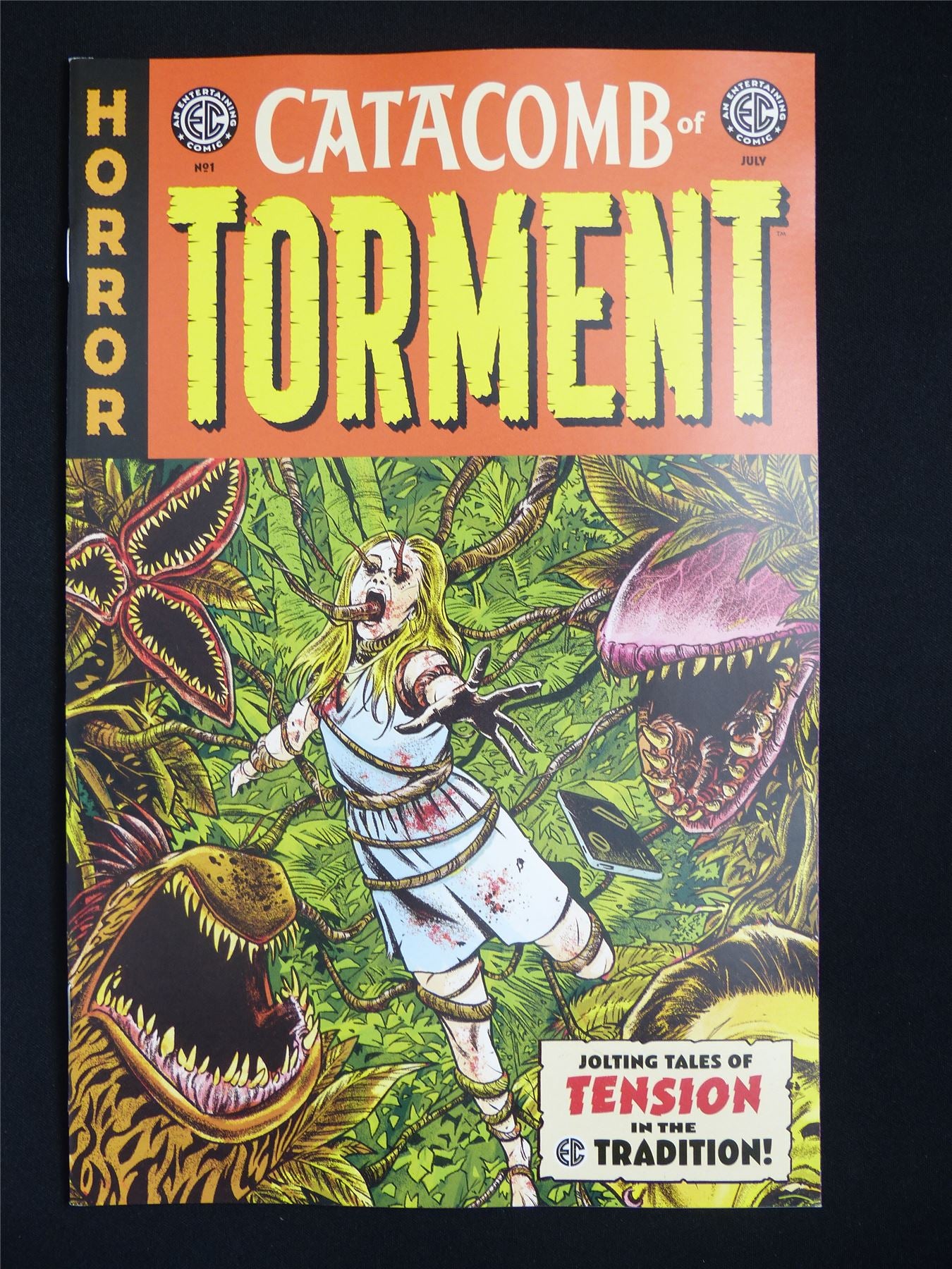 CATACOMB of Torment #1 - Jul 2025 EC Comic #286