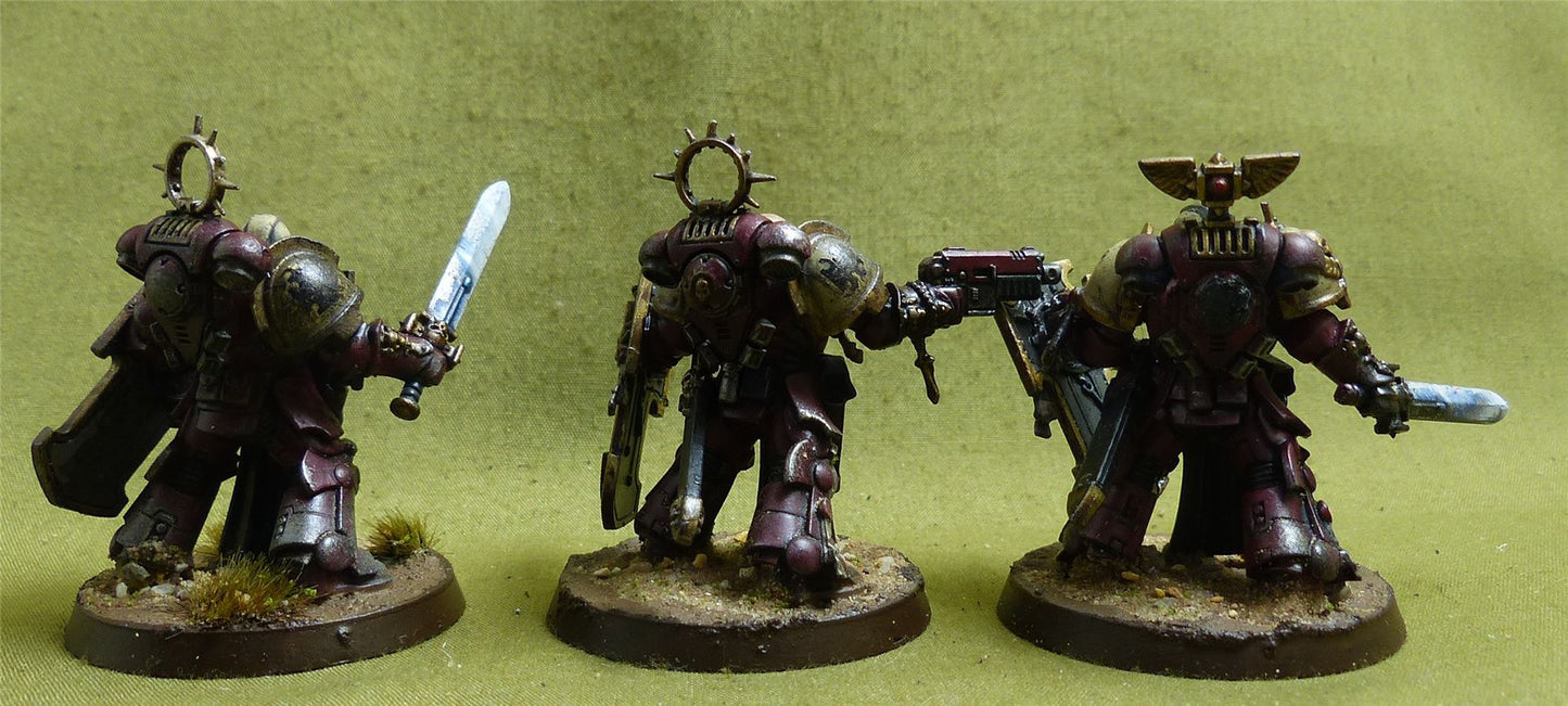 Bladeguard Veterans painted - Space Marines - Warhammer 40K #1BF