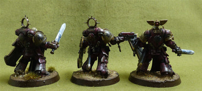 Bladeguard Veterans painted - Space Marines - Warhammer 40K #1BF