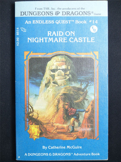 D&D Adventure Book: Raid on Nightmare Castle Endless Quest - Vintage Novel Softback #LY