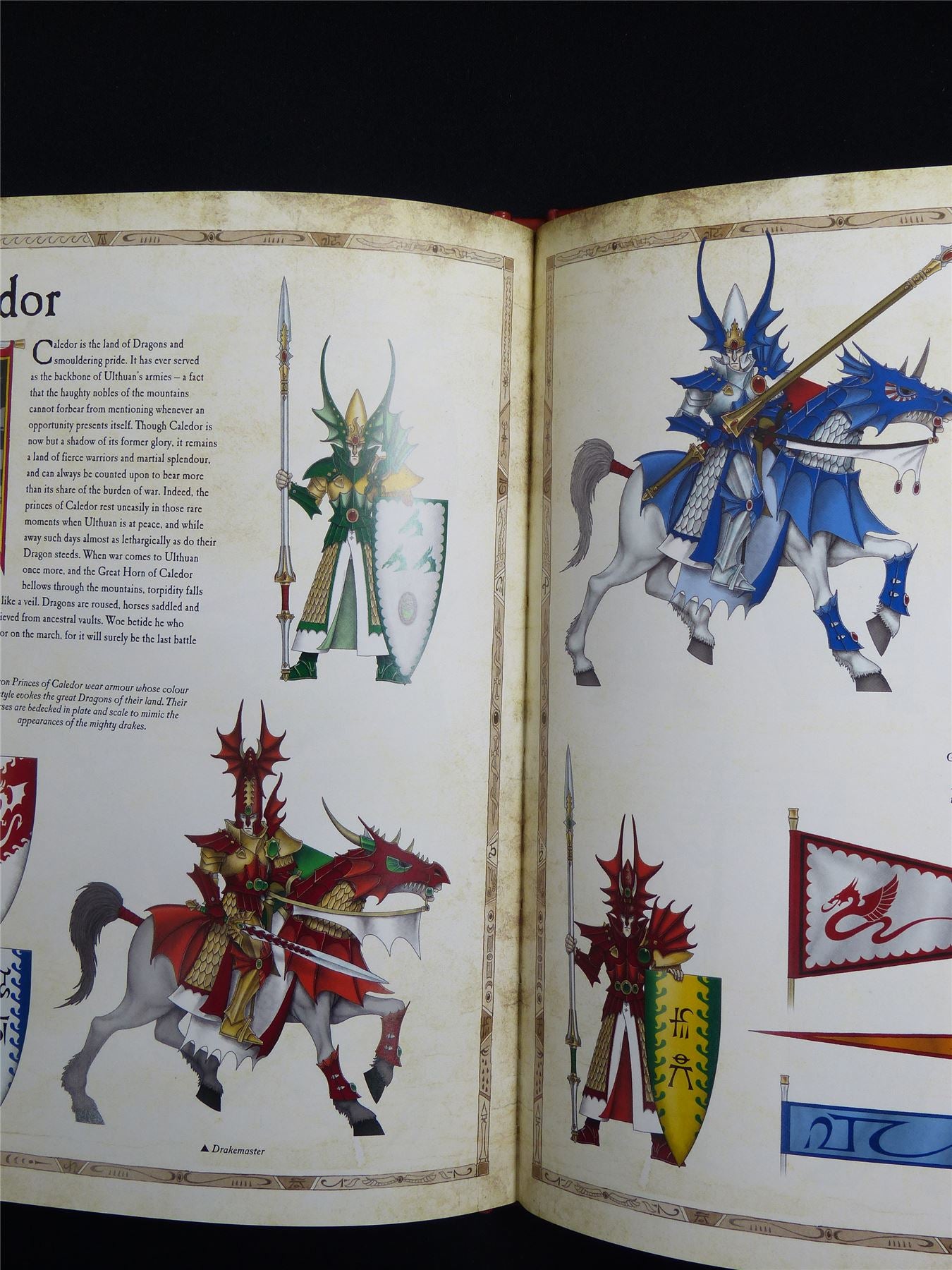 Uniforms & Heraldry of the High Elves Hardback - Warhammer Old World #1GV