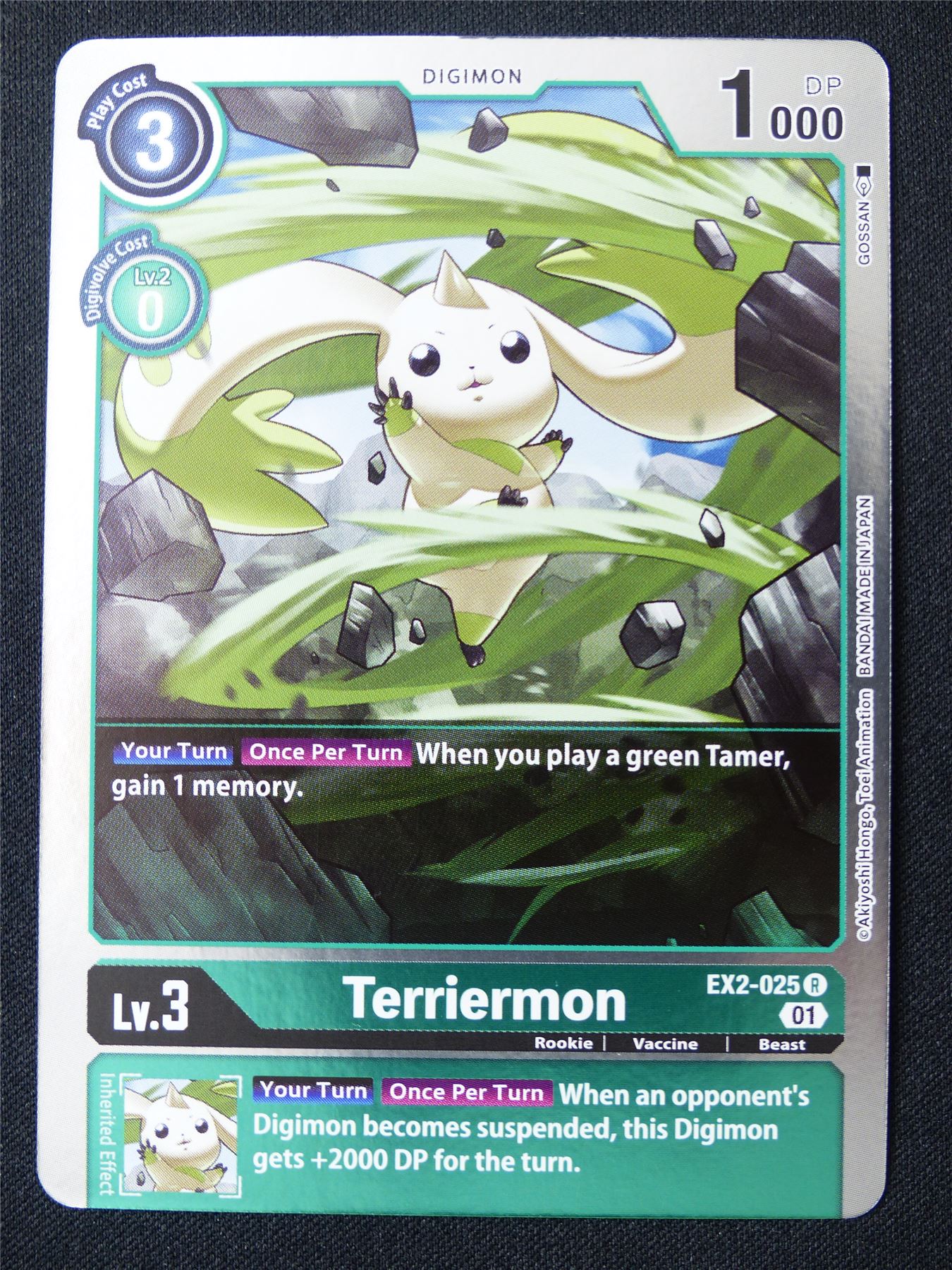 Terriermon EX2-025 R Foil - Digimon Card #191