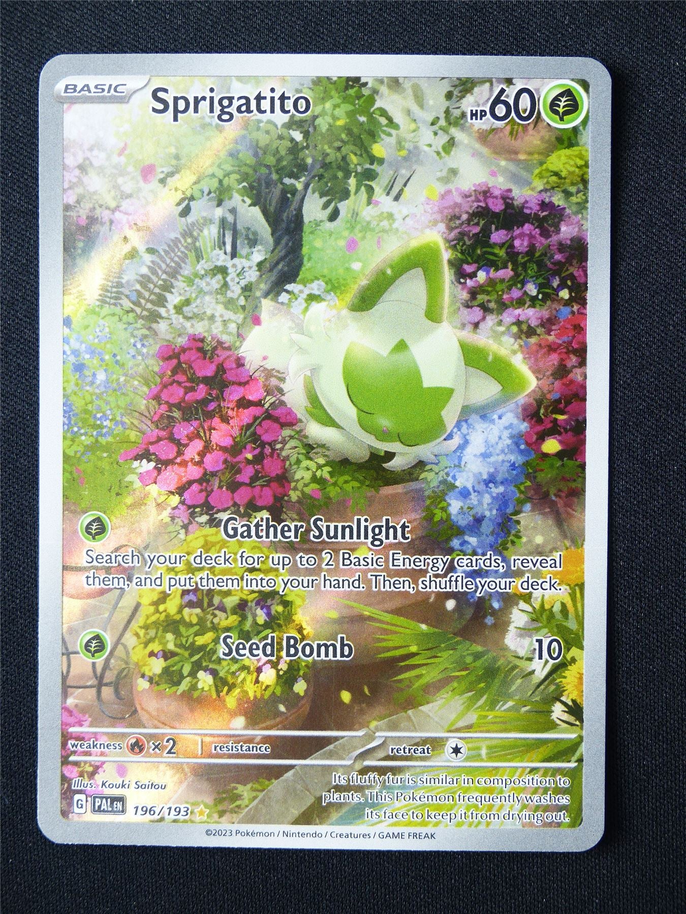 Sprigatito 196/193 Holo - Pokemon Card #5P9