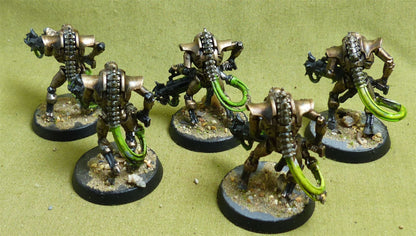 Immortals Painted - Necrons - Warhammer 40K #1QX