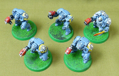 Classic Plastic Terminators painted - Space Wolves - Warhammer 40K #40S