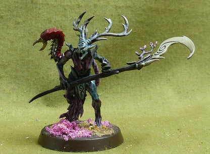 Branchwych painted - Sylvaneth - Warhammer AoS #16X