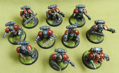 MKII Tactical Squad set of 10 painted - Space Wolves - Warhammer Horus Heresy #4XI