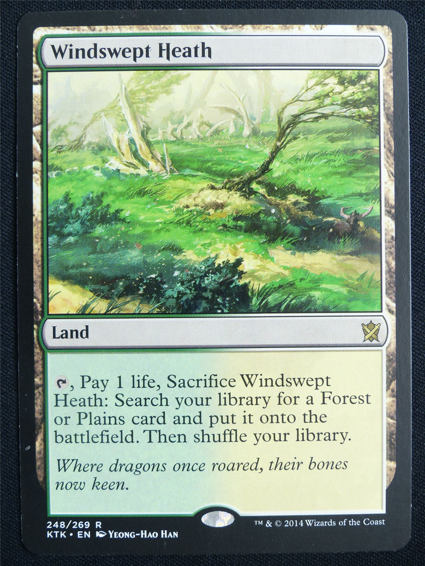 Windswept Heath - KTK - Mtg Card #20D