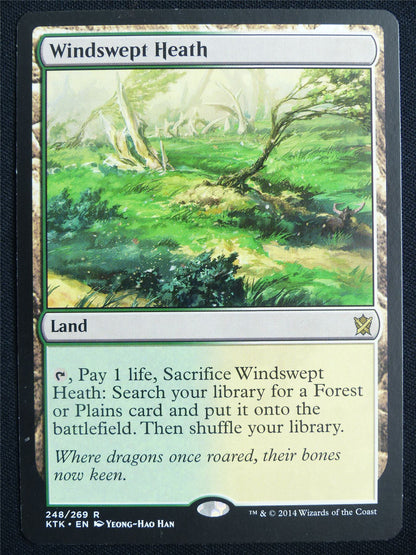 Windswept Heath - KTK - Mtg Card #20D